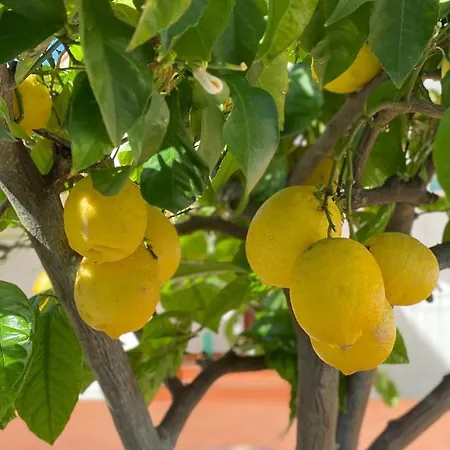 Prázdninový dům Casaale Anacapri (Isola di Capri)