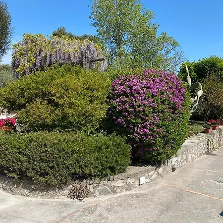 Casaale Holiday home *