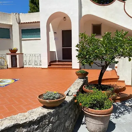 Casaale